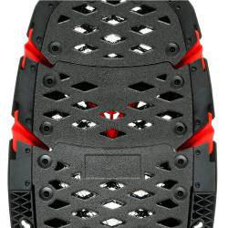 ESPALDERA DAINESE PRO-SPEED BACK L